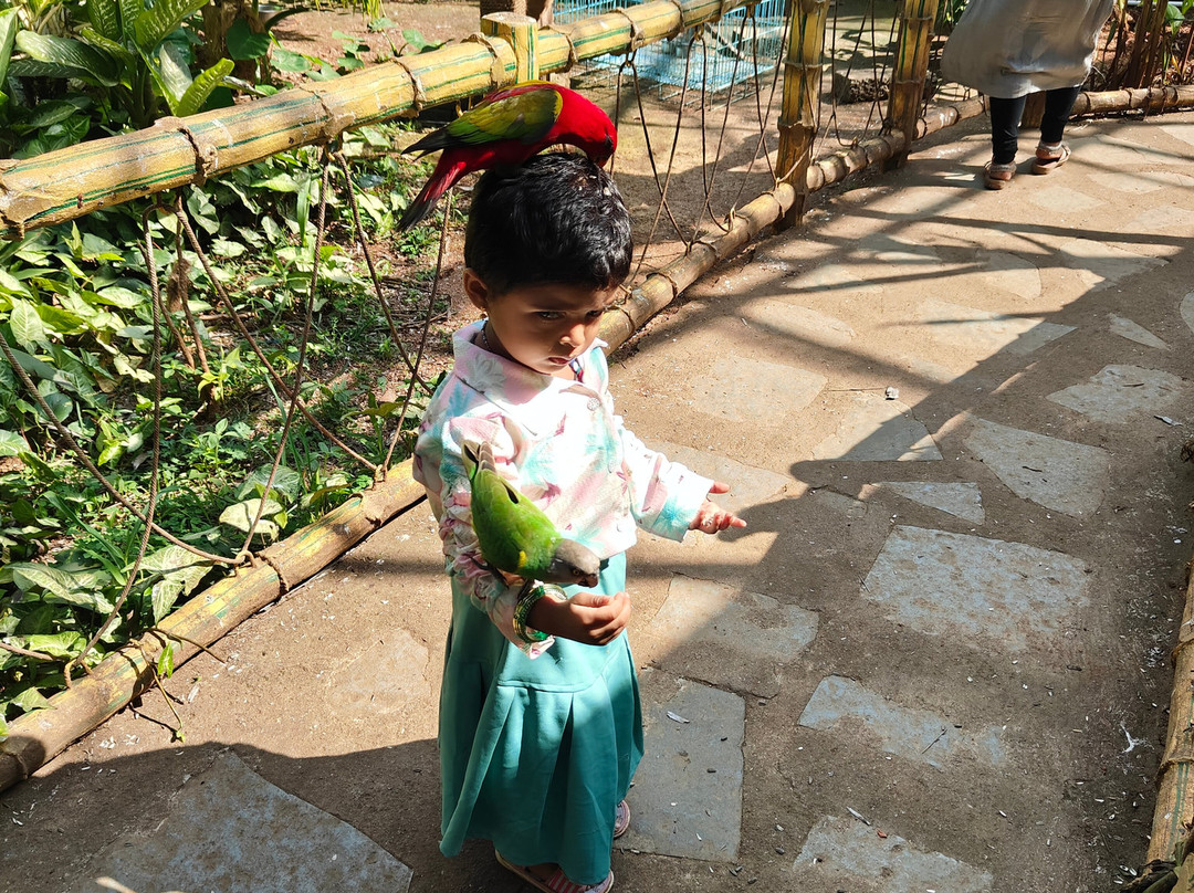 Fundera Park-Yelagiri必去景点