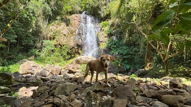 Eco Park Alta Mira-Sao Francisco de Paula必去景点