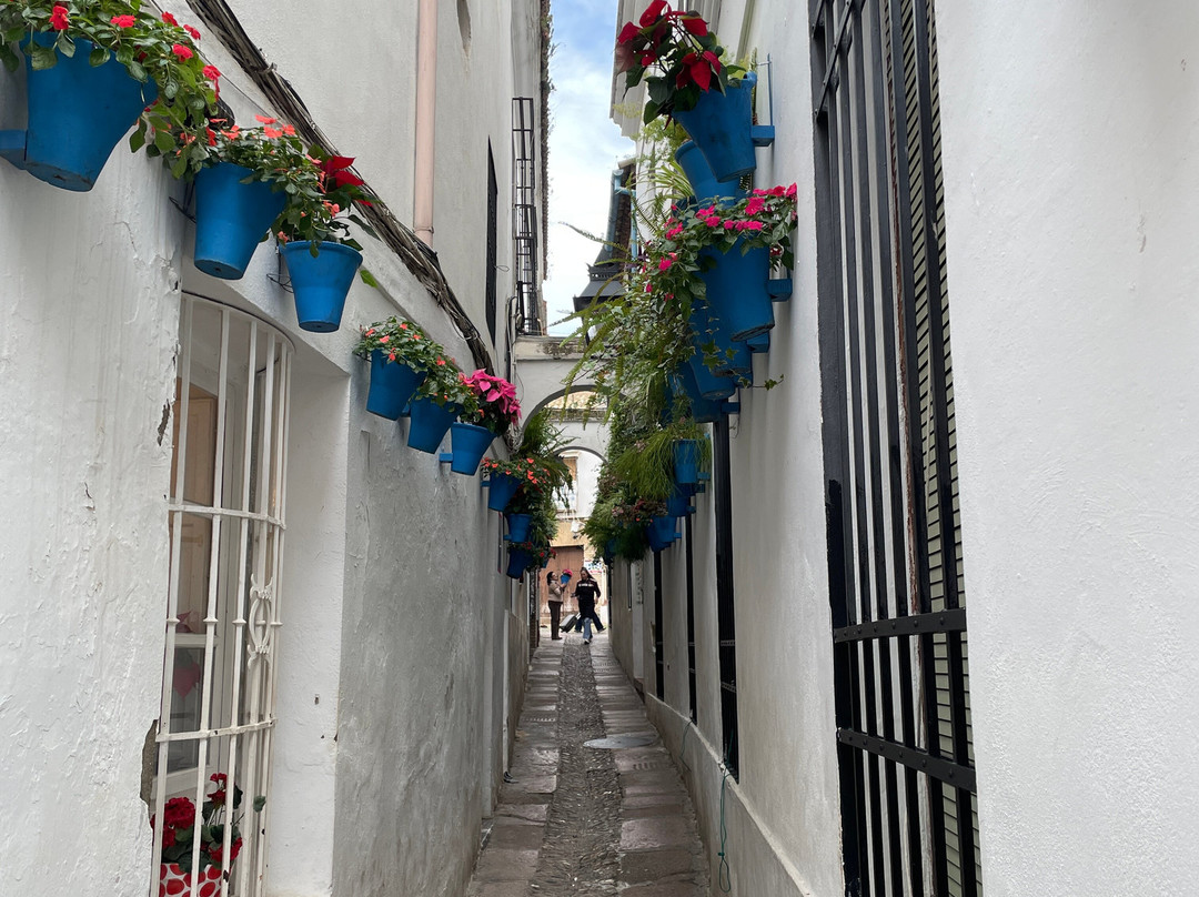 百花巷-科尔多瓦必去景点