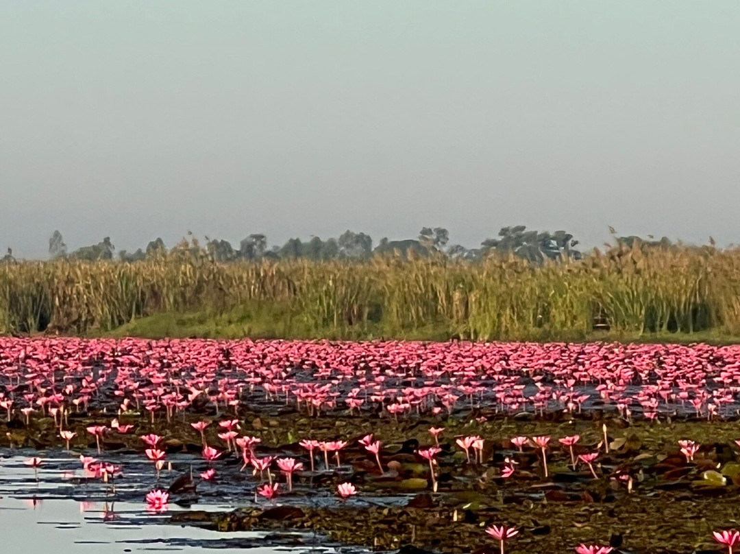 红莲湖-Chiang Haeo必去景点