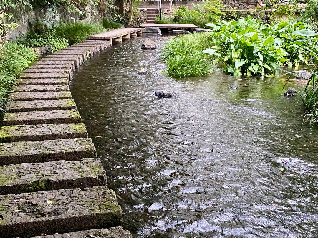Gempeigawa River-三岛市必去景点
