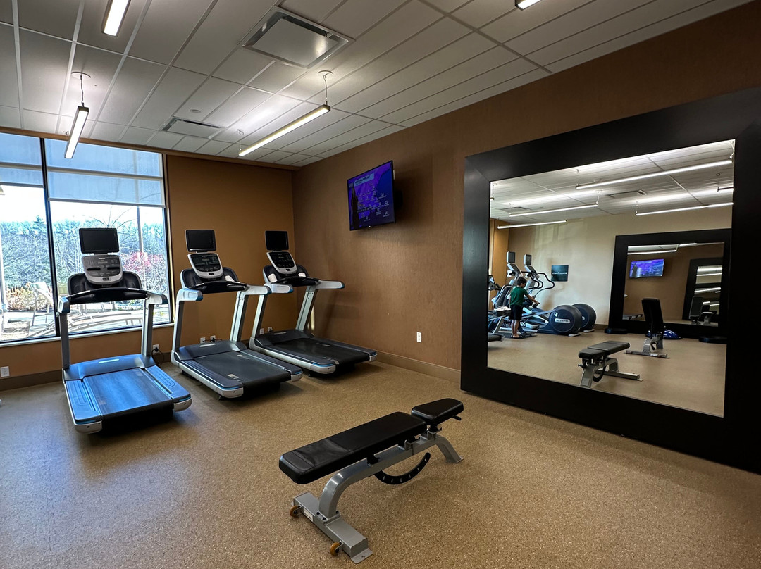 Hilton Garden Inn Boston/Marlborough主图