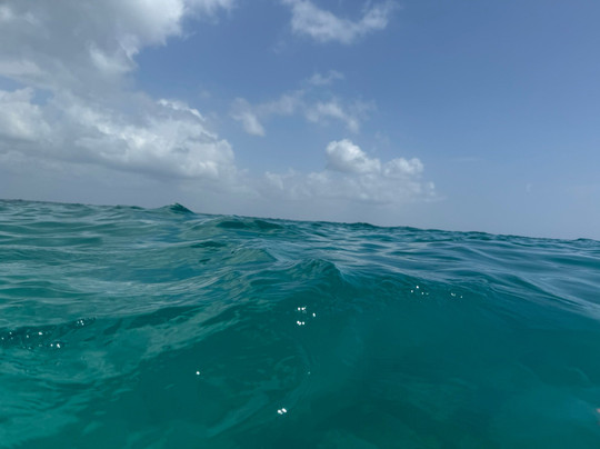 DALLOKY MAGNIFIQUES KENYA SAFARIS-蒙巴萨必去景点