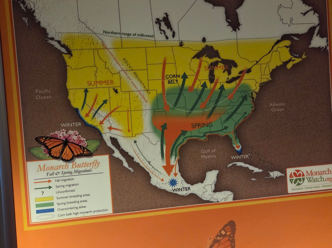 Butterfly Wonderland-斯科茨代尔必去景点