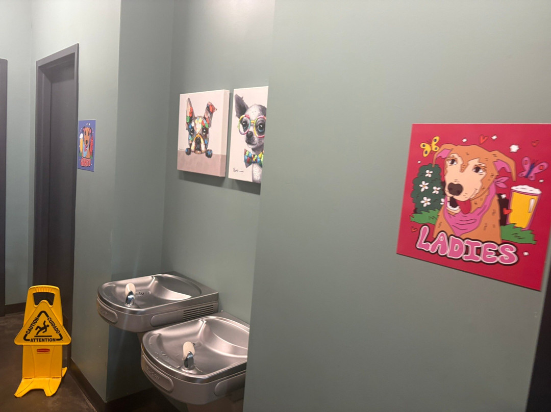 Adopted Dog Brewing-拉法叶必去景点