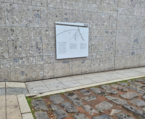 Pretório Romano-科隆必去景点