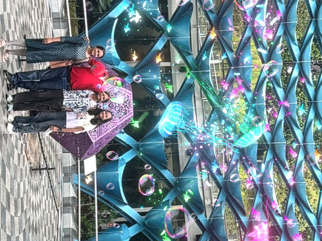 Sentosa SensoryScape-新加坡必去景点