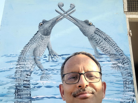 National Chambal Sanctuary-瑟瓦伊马托布尔必去景点