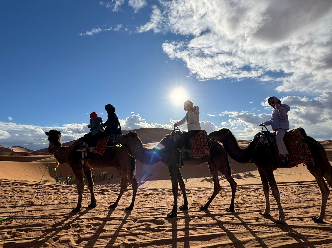 Sahara Desert Kingdom-马拉喀什必去景点
