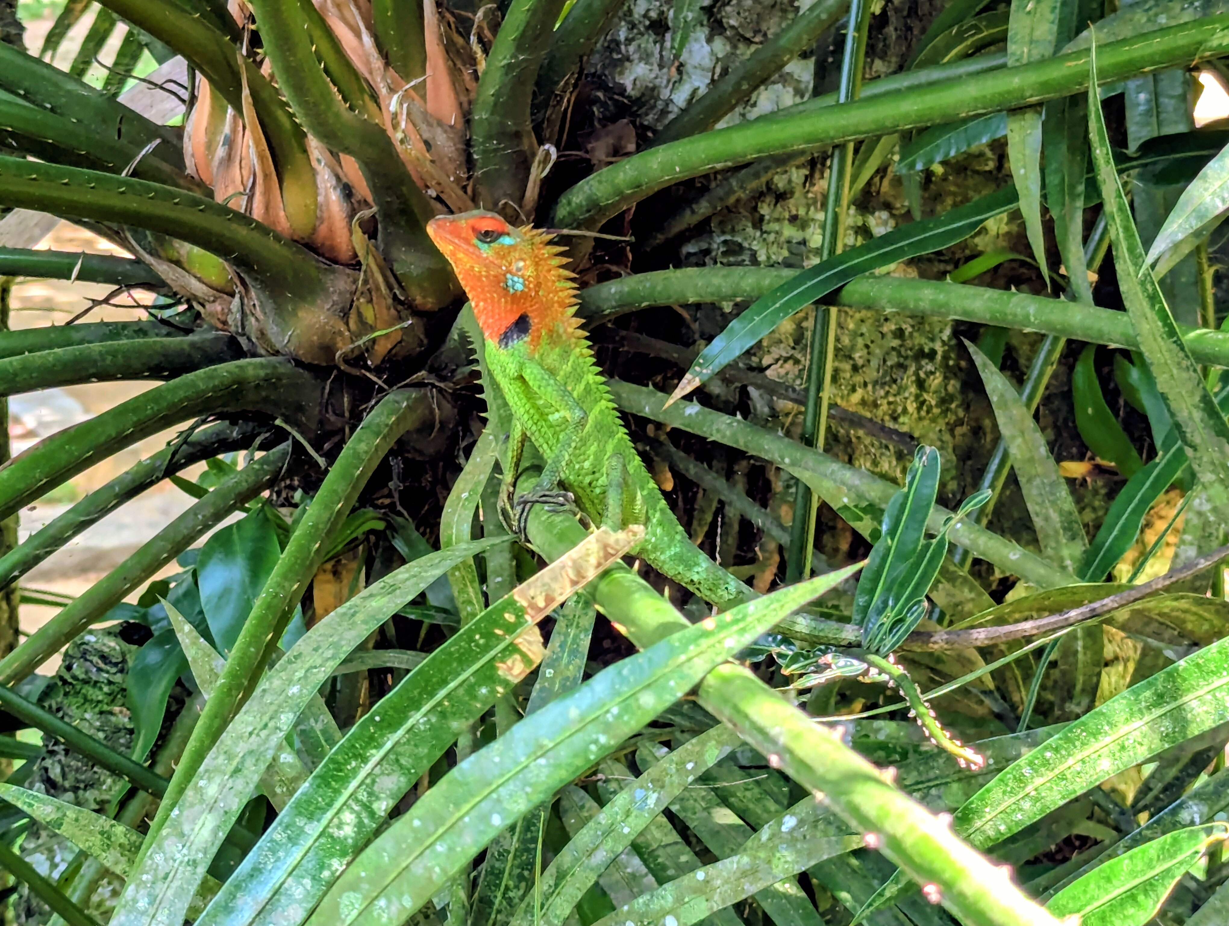 Leisure Land Villas-官方