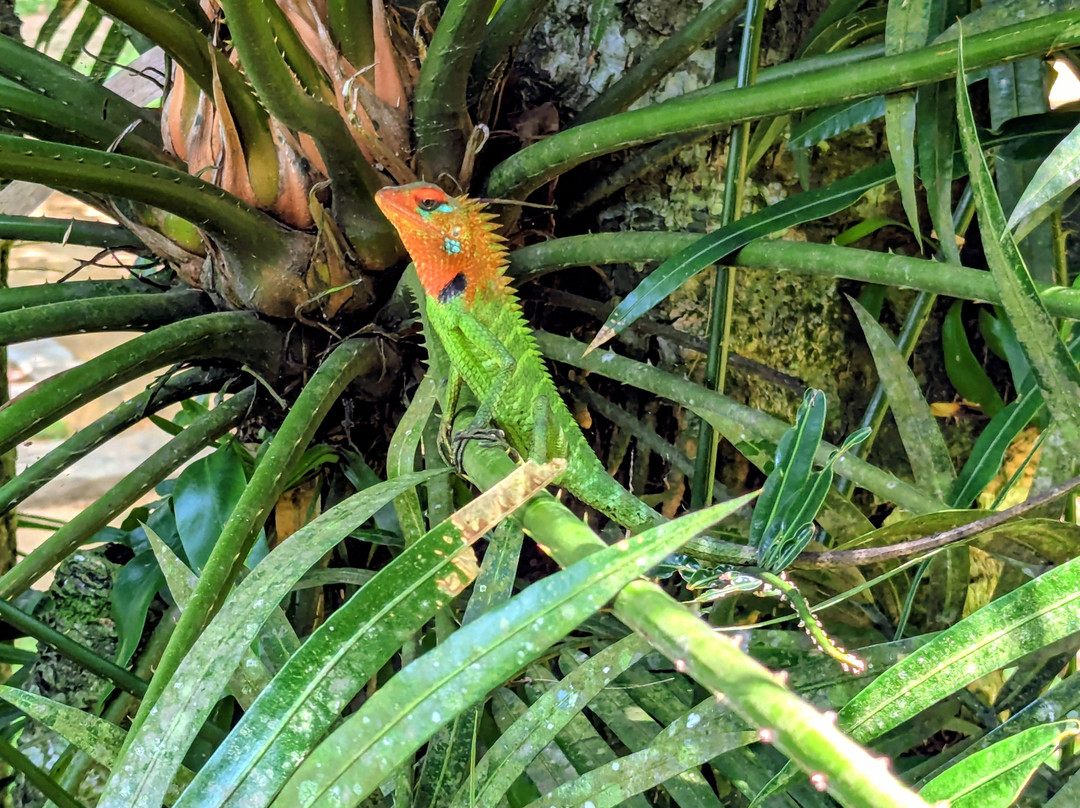 Leisure Land Villas主图