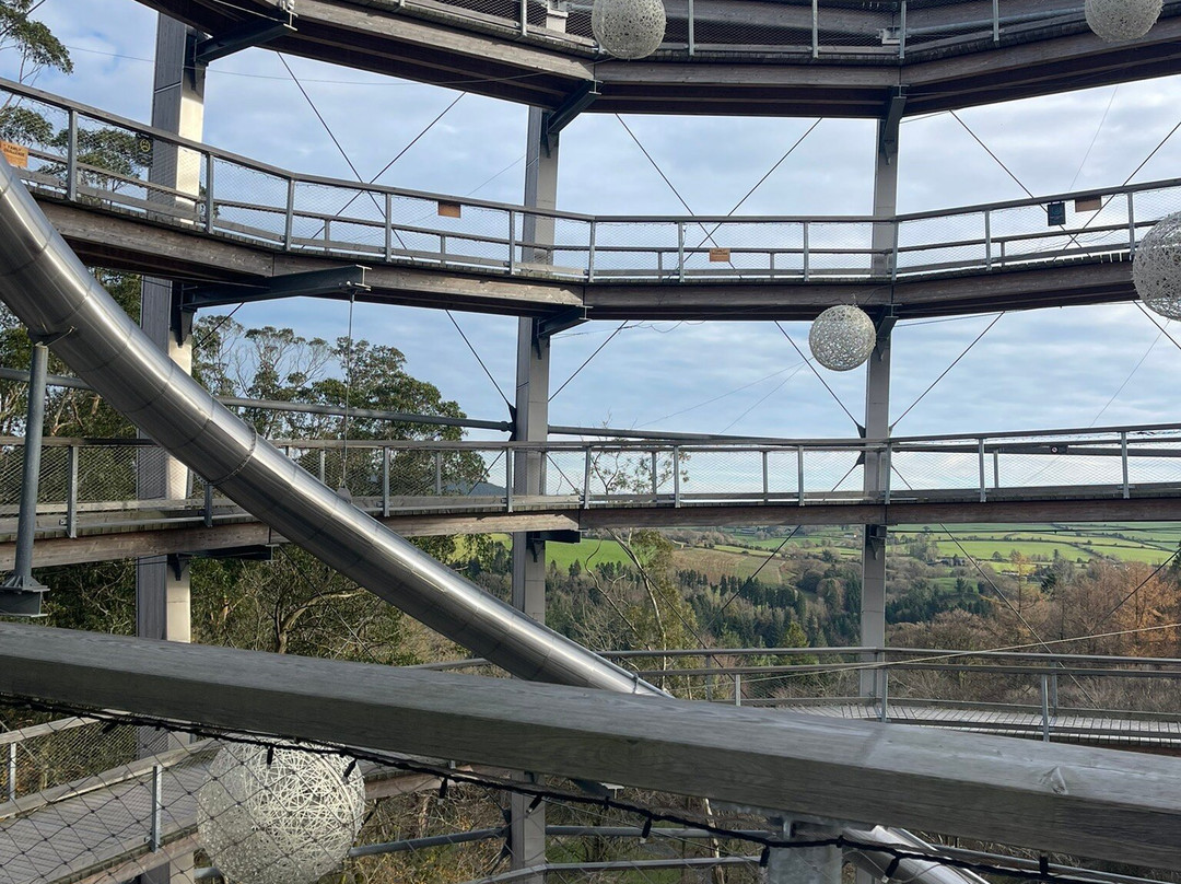 Beyond the Trees Avondale-Rathdrum必去景点