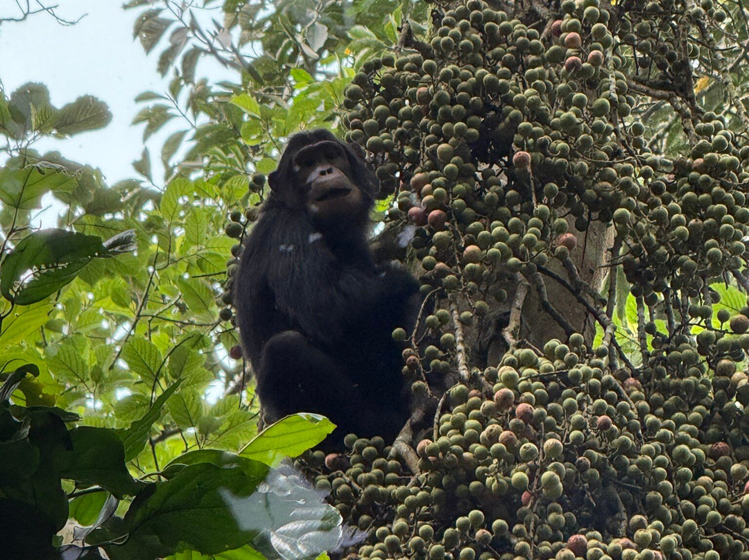 Katona Tours and Travel-吉佳利必去景点