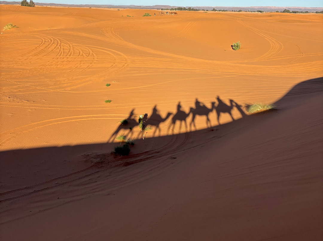 Sahara Desert Kingdom-马拉喀什必去景点