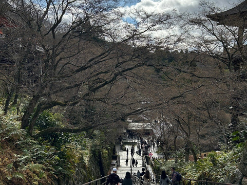 Diper Tour-成田市必去景点