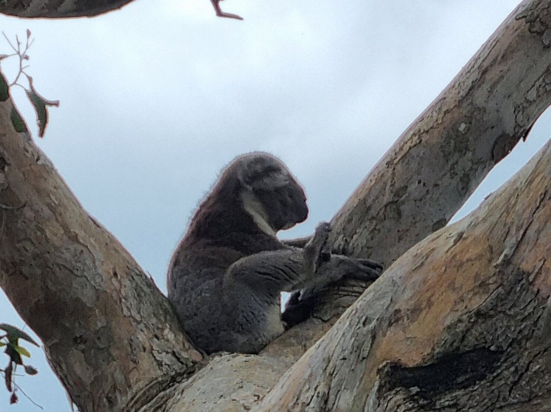 Portland Cable Trams-波特兰必去景点