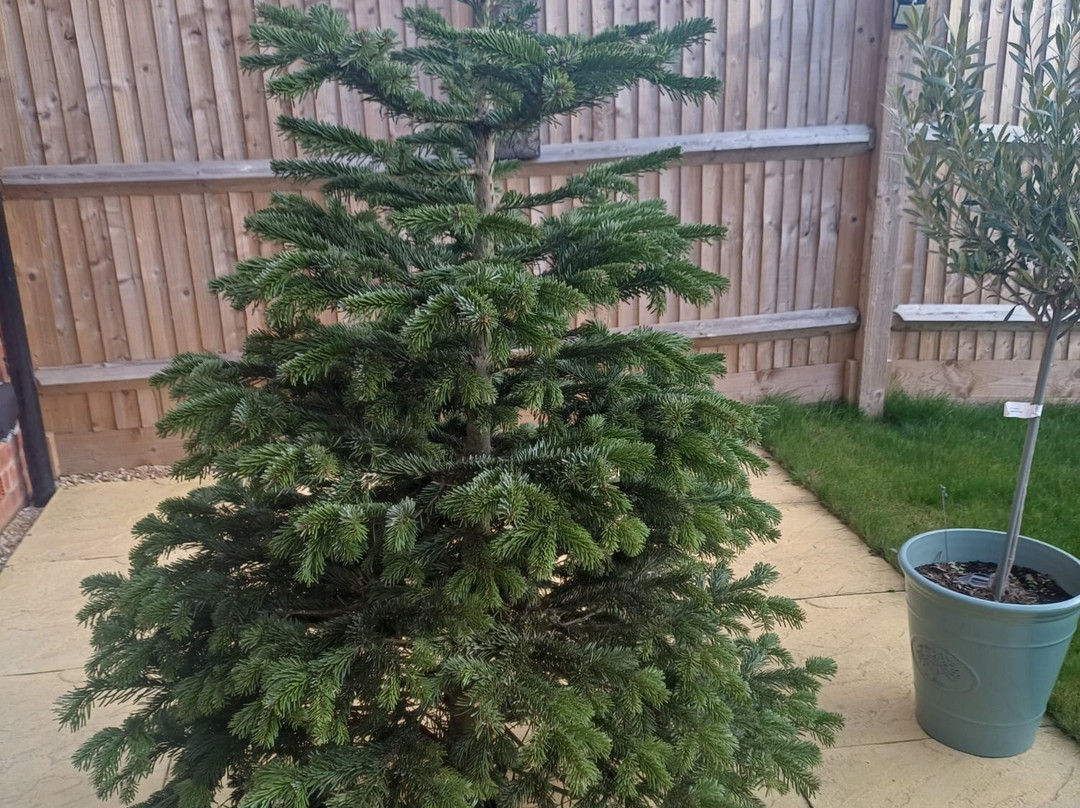 Farmer Gow's-Faringdon必去景点