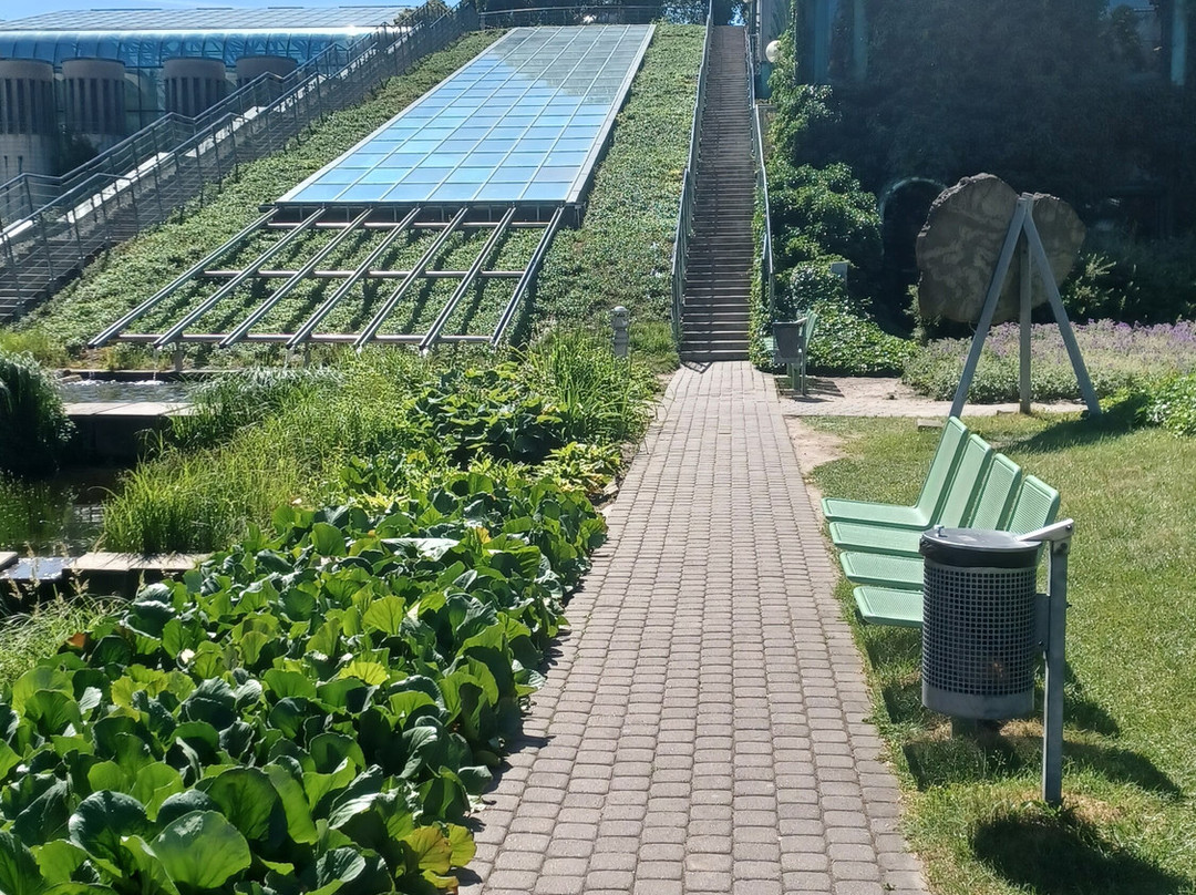 University of Warsaw Library-华沙必去景点