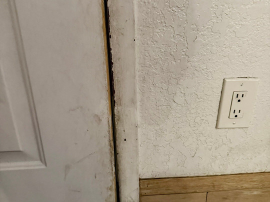 圣罗莎贝斯特韦斯特酒店主图