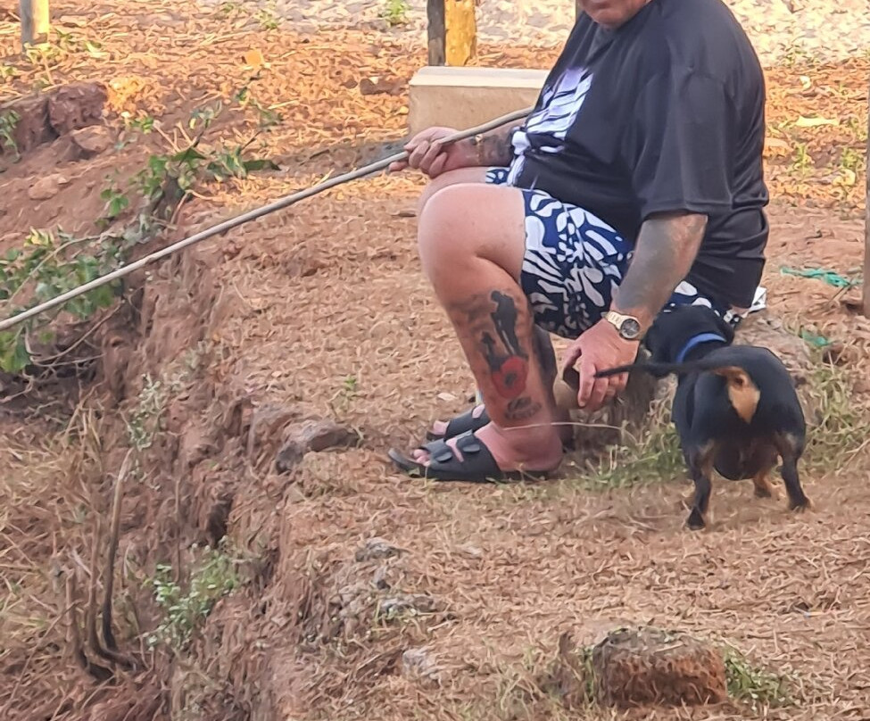 唐娜萨玛丽亚酒店主图