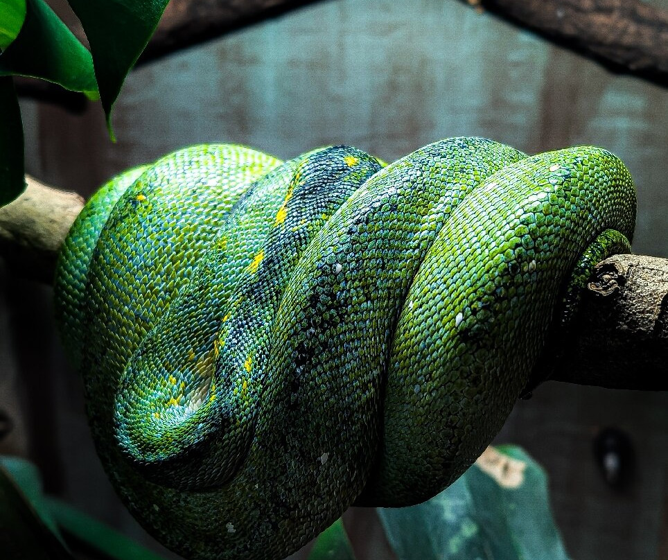 Pili Palas Nature World-Menai Bridge必去景点