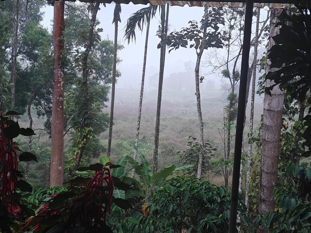 Casa Coorg Homestay主图