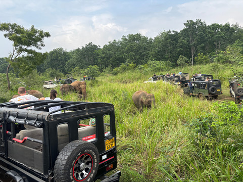 Uminda Sri Lanka Tours-Sirimalwatta必去景点