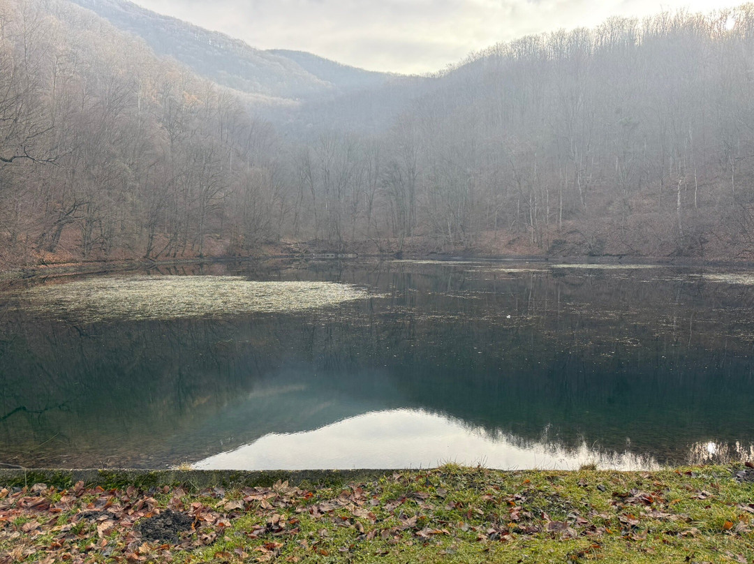 Szilvasvarad National Forest Rail-Szilvasvarad必去景点