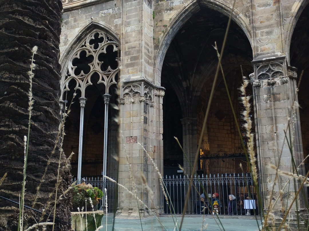 Il Mio Mondo a Barcellona-巴塞罗那必去景点