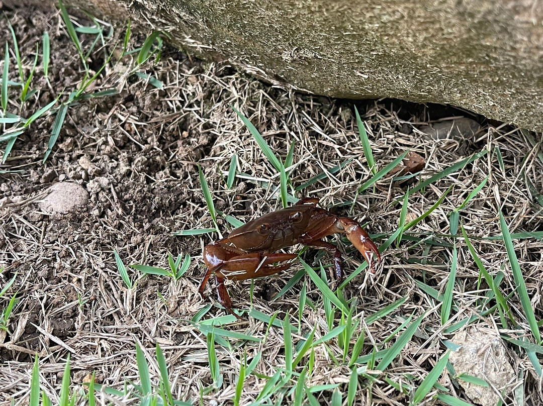 Calima Lake-Valle del Cauca Department必去景点