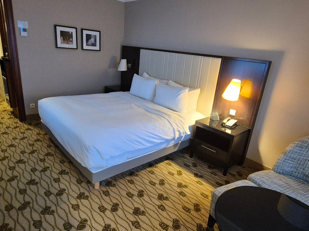 布鲁塞尔万丽酒店主图