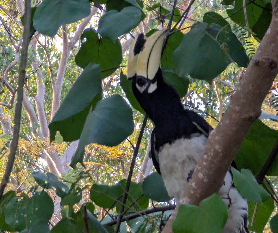 Ao Phai-沙美岛必去景点