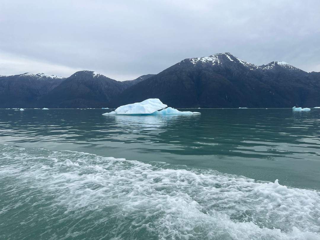 Canales Australes-Tortel必去景点