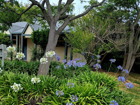 莫宁顿布鲁克兰酒店主图