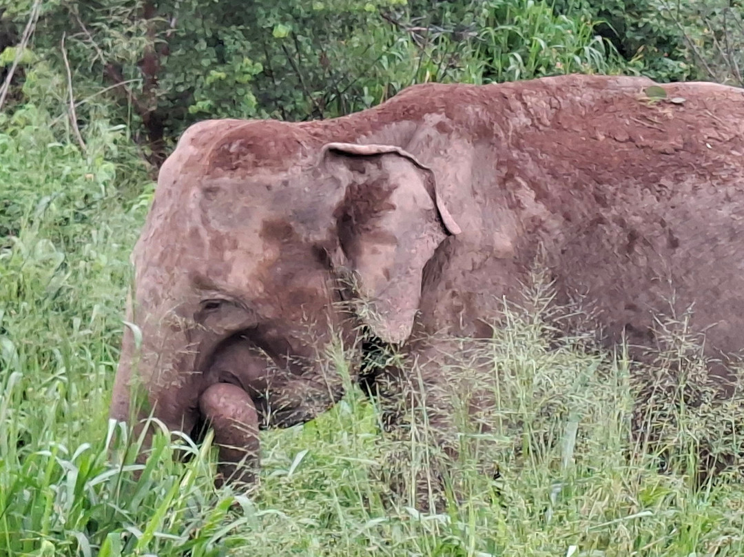 MySriLankaTravel-加勒必去景点