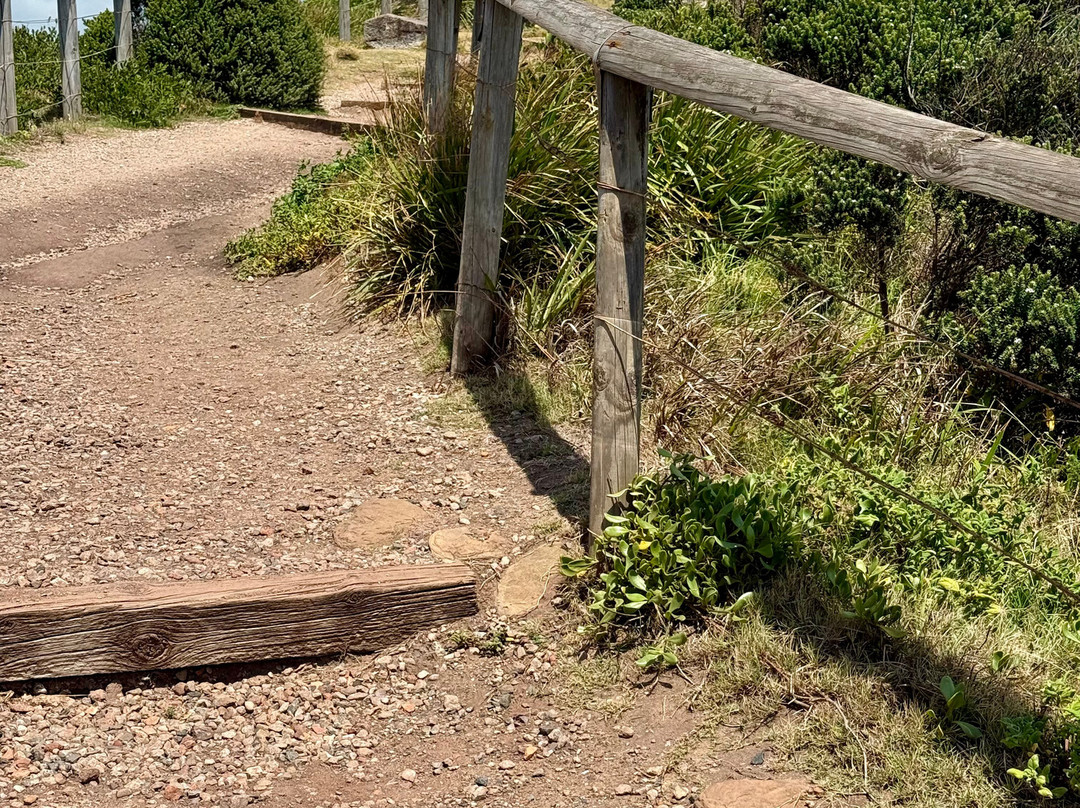 Long Reef Point-Collaroy Beach必去景点