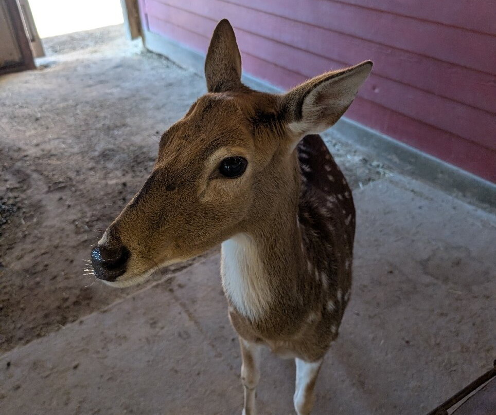 Zoo World Zoological Park-巴拿马城海滩必去景点
