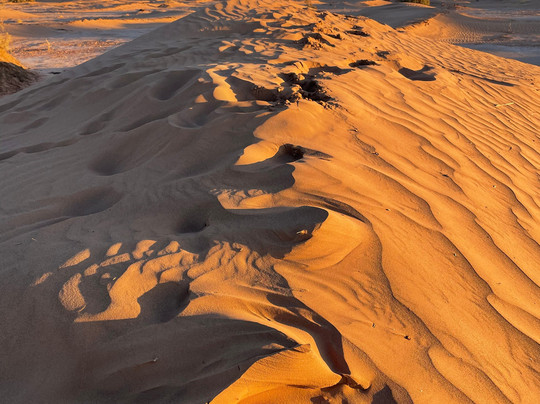 Mélodie du désert-迈哈米德必去景点