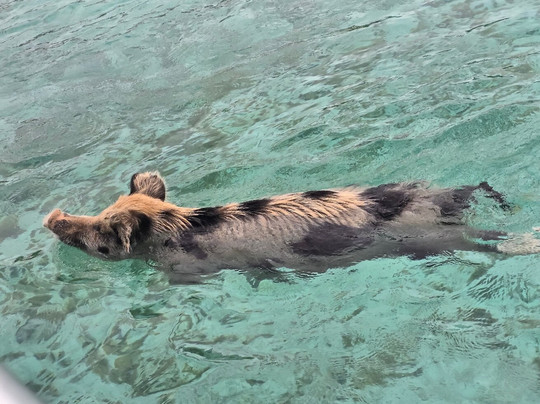 Island Routes-拿骚必去景点