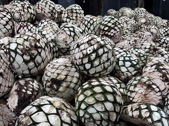 Huellas Mexicanas. Viajes y Experiencias Gastronomicas-墨西哥城必去景点