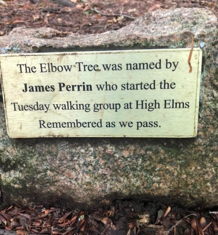 High Elms Country Park-布罗姆利必去景点