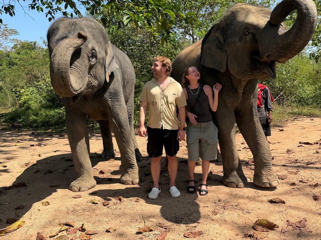 The Lake Phuket Elephant Home-Thep Krasatti必去景点