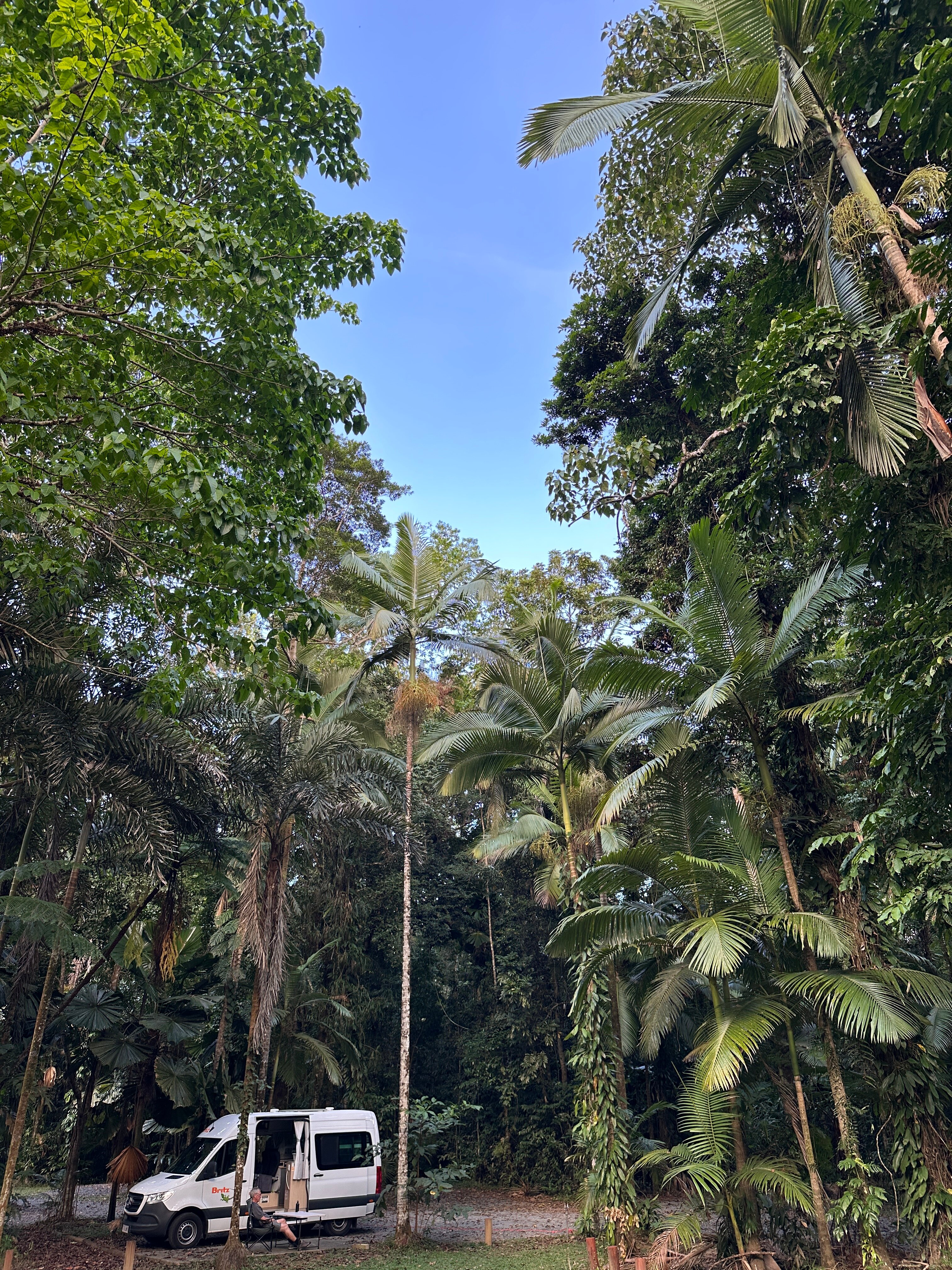 Daintree Siesta-官方