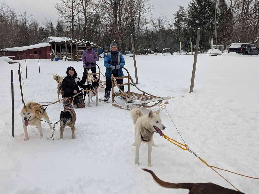 Windrift Kennel-奥里利亚必去景点
