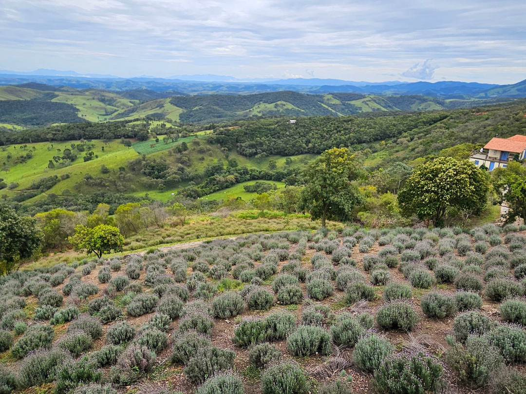 Lavandario-Cunha必去景点