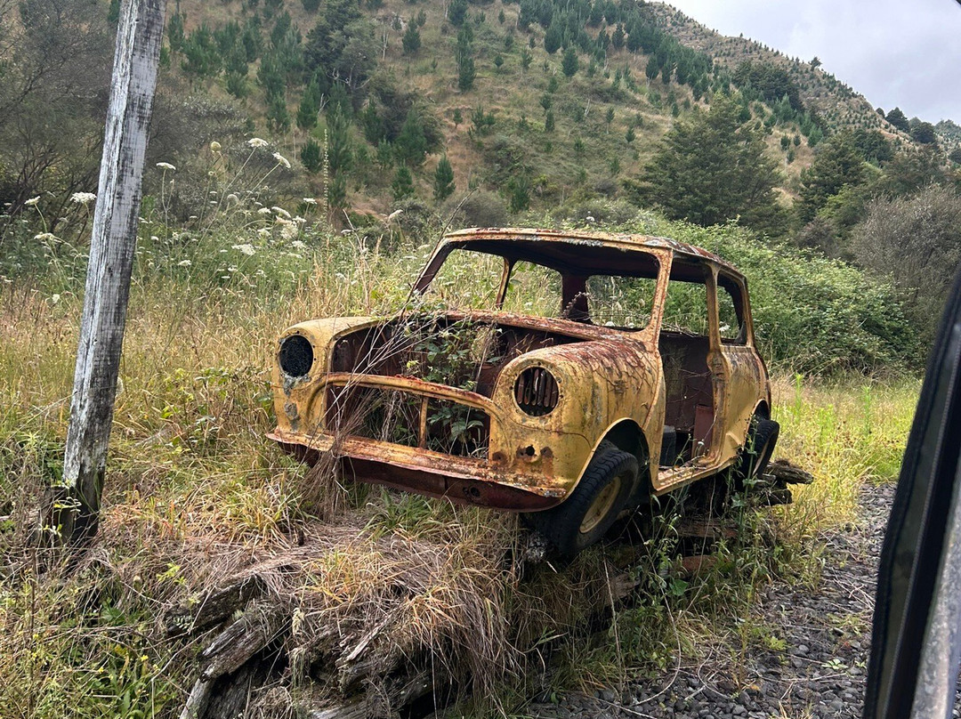 Forgotten World Adventures-Taumarunui必去景点