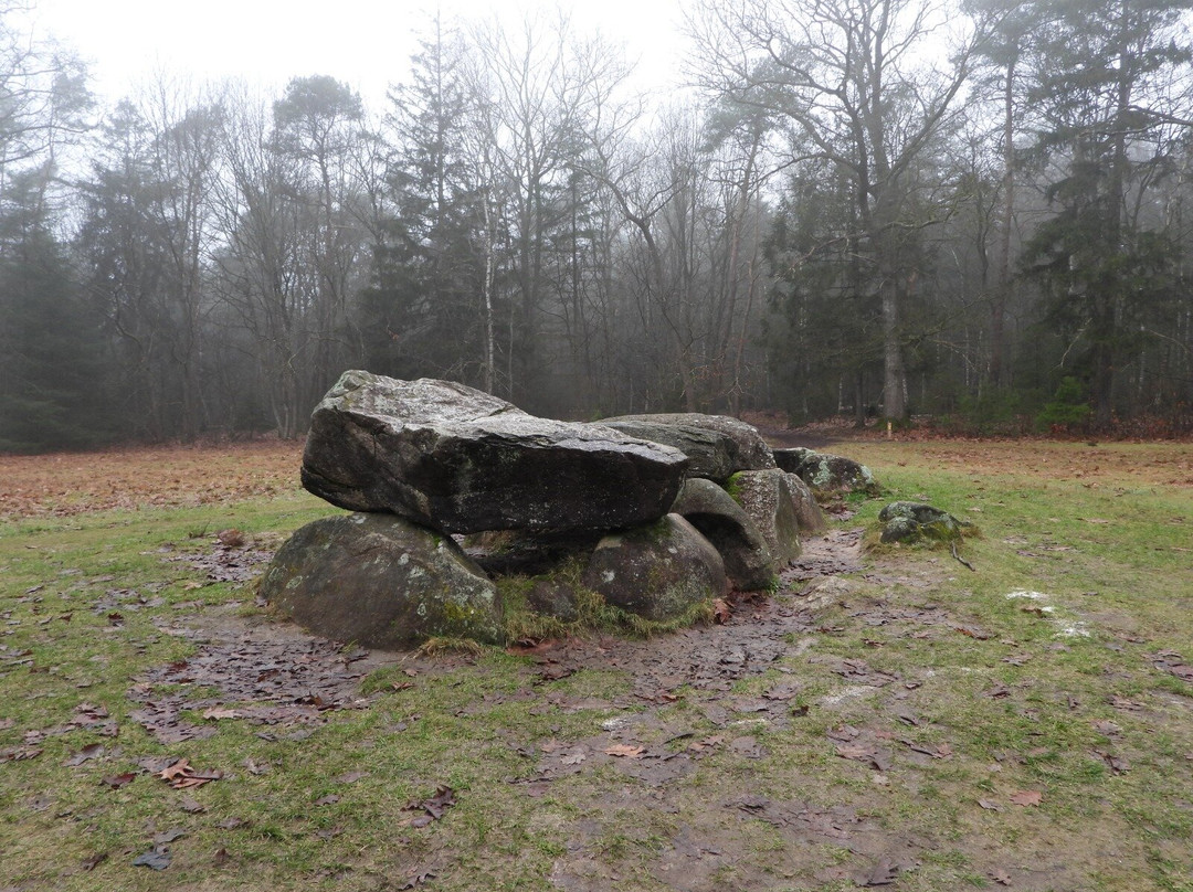 Eko-Tours-Exloo必去景点