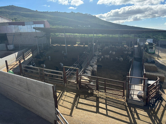 Queseria Montesdeoca-Tijoco Bajo必去景点