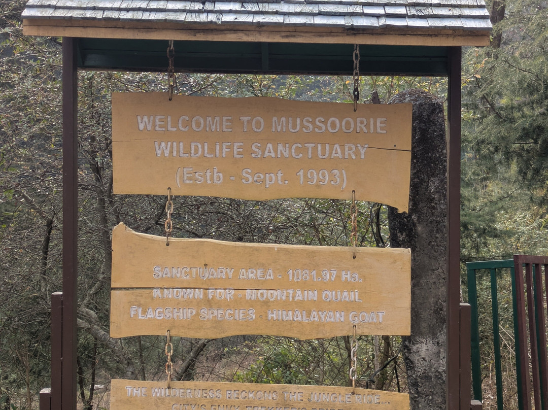 Benog Wildlife Sanctuary-马苏里必去景点