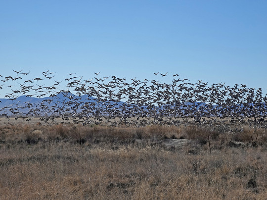 Twin Lakes Golf Course-Willcox必去景点